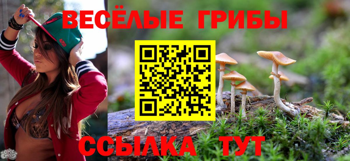 Псилоцибиновые грибы Magic Shrooms Туймазы