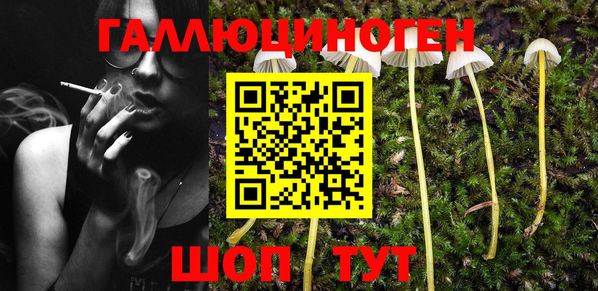 Псилоцибиновые грибы Magic Shrooms  Вход с VPN  Туймазы  Галлюциногенные грибы мицелий 